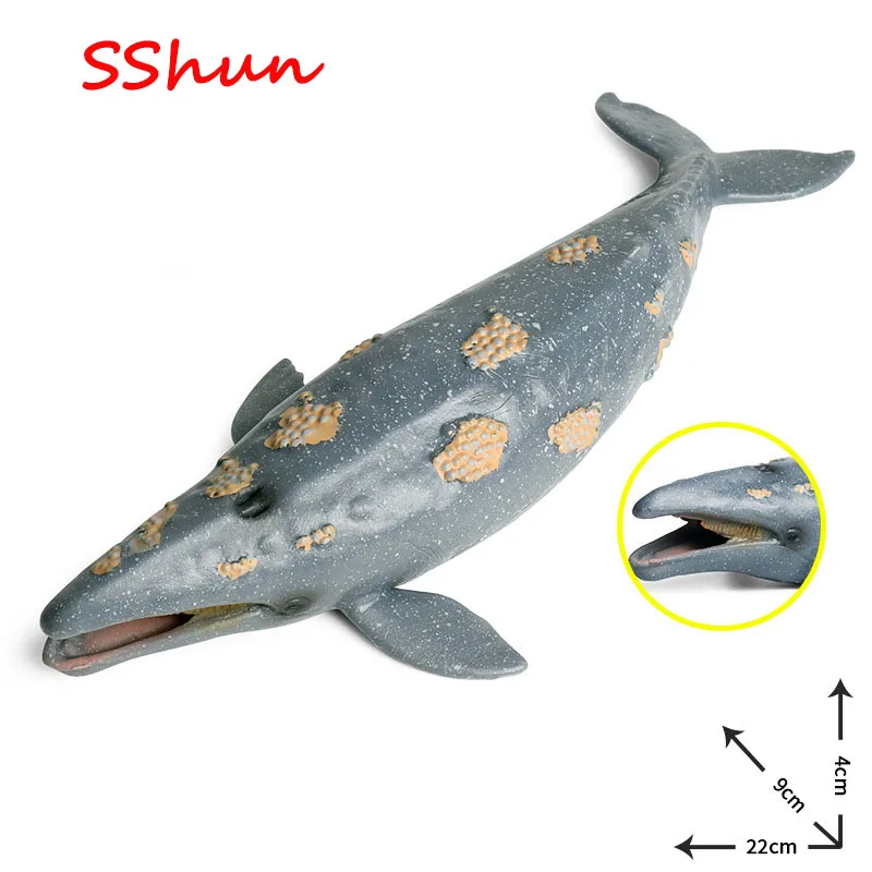 

22*9*4cm simulation marine animal model toy whale shark humpback whale children science education plastic animal model