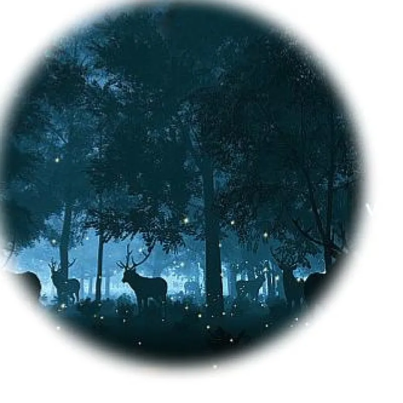Caméra de chasse étanche vision nocturne infrarouge détection mouvement piège photo faune extérieur