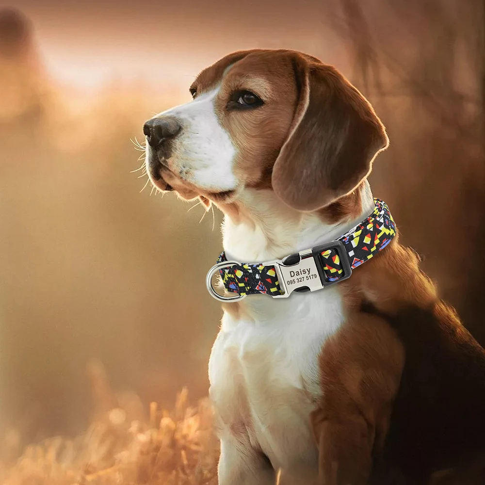 Benutzerdefiniertes kleines, mittelgroßes und großes Hunde- und Katzenhalsband, personalisiertes, graviertes Namens-ID, verstellbare Nylon-Welpenhalsbänder, Chihuahua-Mops-Hundehalsbänder – Detail 6