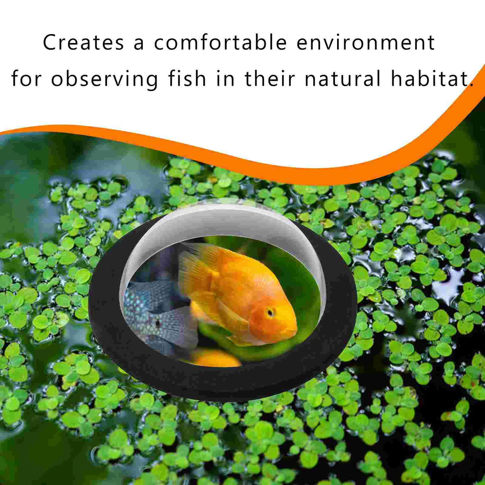 Floating Fish Pond Dome Cover Acrylic Display Garden Pond Accessory Outdoor Cover Small Dome Fish Fountains pond dome cover
