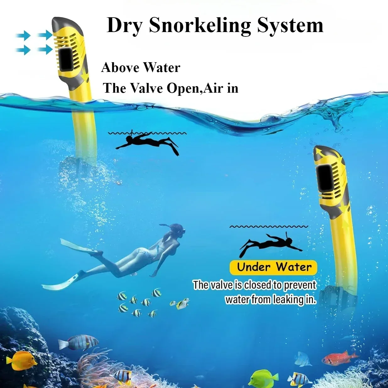 dsc-products