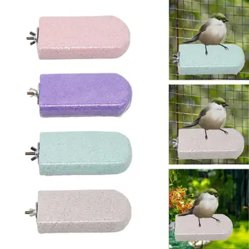 Foot Claws Trimmer Parrot Stand Bird Perch Platform Beak Grinding Stone for Paws Finches Cockatoo Bird Nail Trims Parakeet