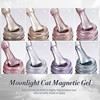 BORN PRETTY Cat Magnetic Moonlight Gel Nail Polish Set 10ml Sparkle White Silver Water-light Soak Off UV Gel Nail Art Manicure 2