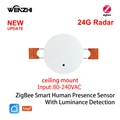 24G Ceiiling ZigBee