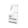 Combination Model Gate Cabinet with Shoe cabinet+Hang shelf+ Mirror 6