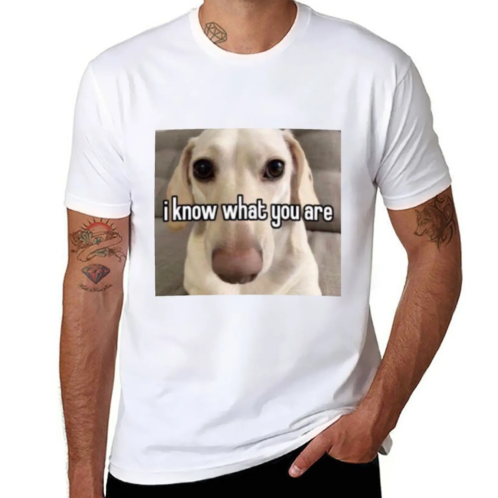 

homophobic dog: i know what you are T-Shirt customs design your own oversizeds Aesthetic clothing heavyweights Men's t shirts
