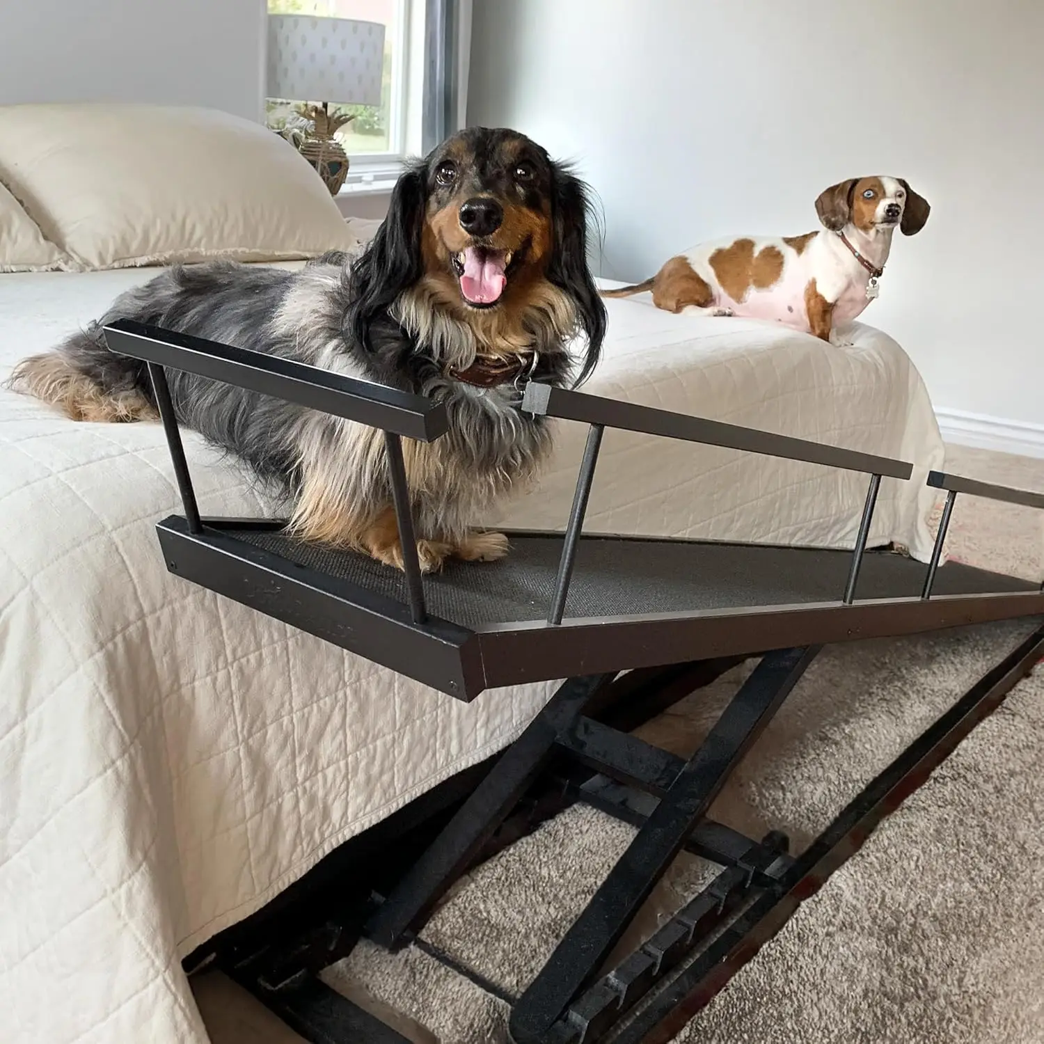 Dog Ramp for Beds-Solid Hardwood with 5 Finish Options-Adjustable up to 37" High Beds with Low Incline, Safety Rails & Anti-