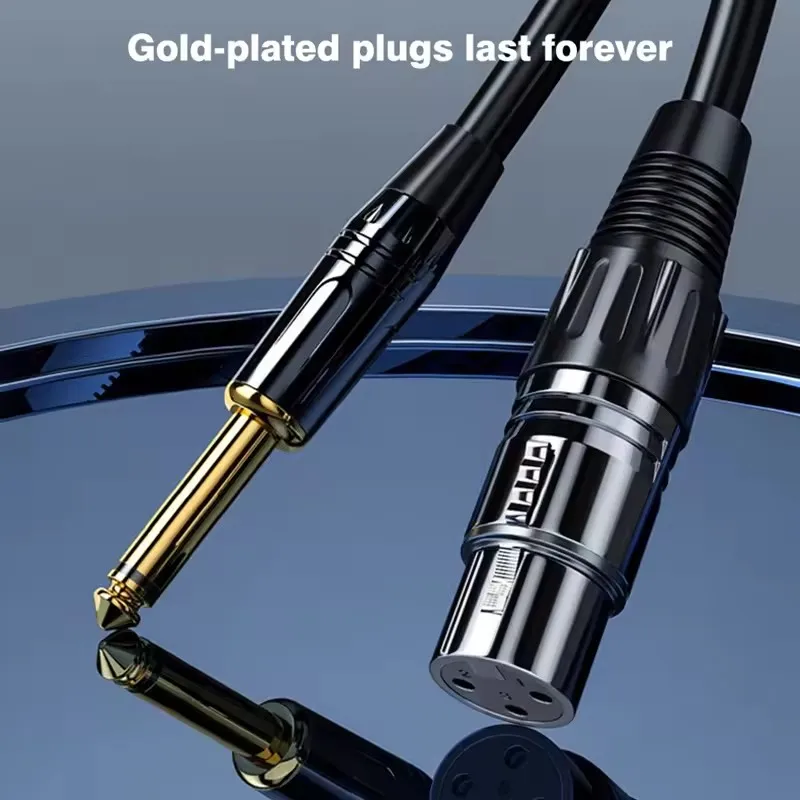 Professional-Grade Balanced Audio Extension Cable - 6.5mm to XLR
