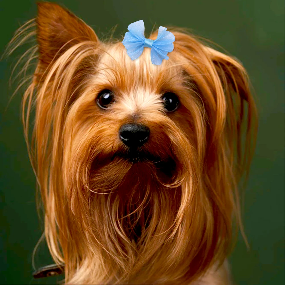 20pcs Lace Dog Bows Dog Hair Bows With Rubber Bands Butterfly Grooming Cute Boutique Gift Pet Bowknot For Puppy Cat Pet Headwear 6