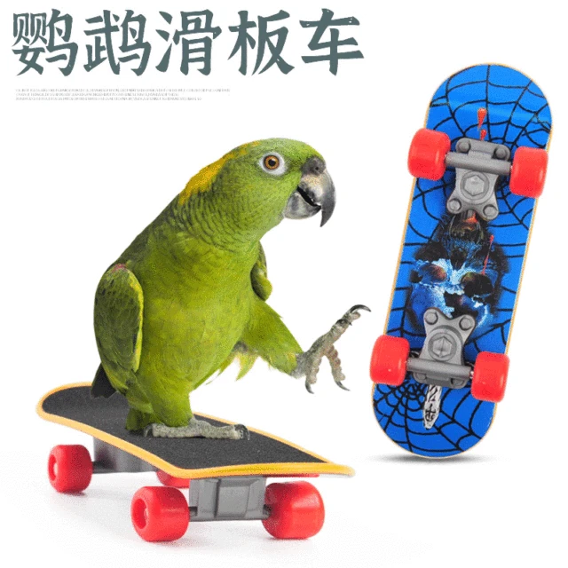 Image 8