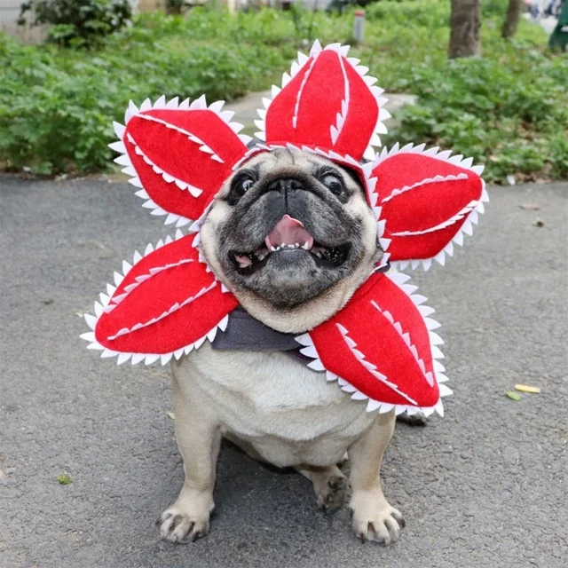 Pet Hat Costume Demogorgon Hat Props Headwear Soft Kitten Scary Flowers 5