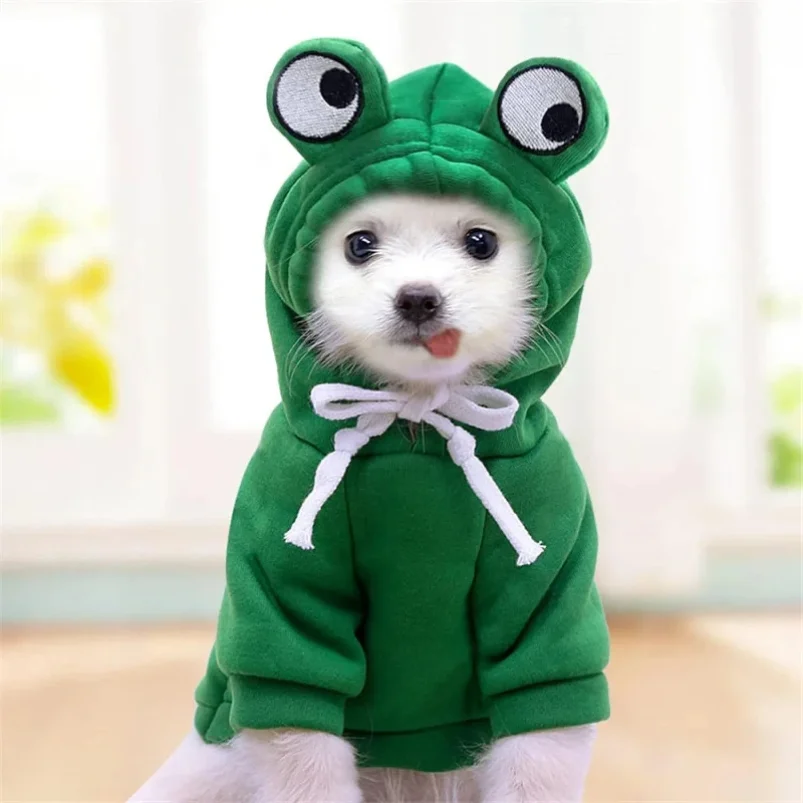 Winter Hoodie for Small Dogs 1