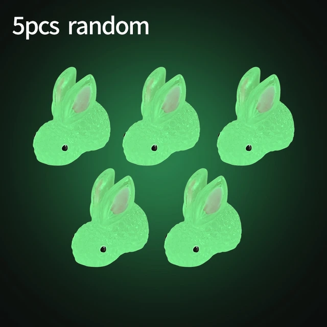 Rabbit S 5PCS