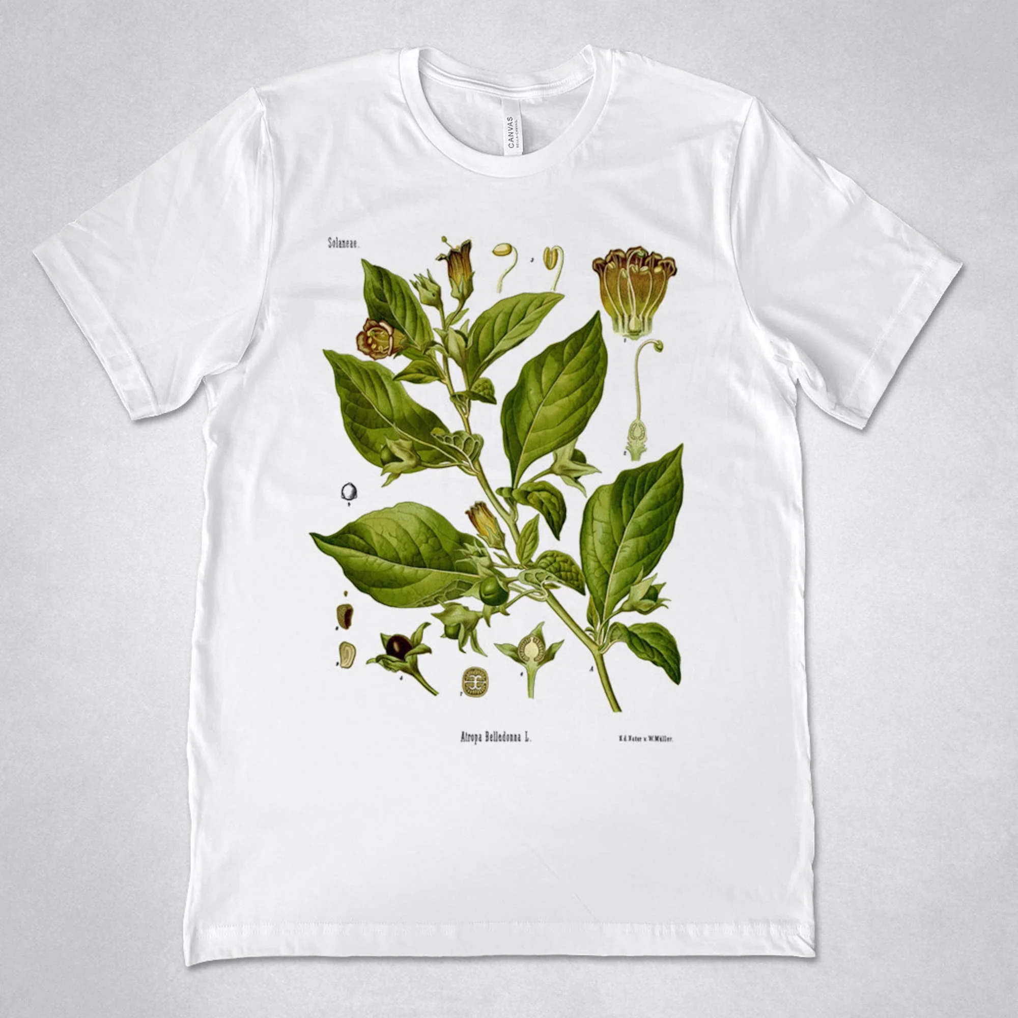 Atropa Belladonna Shirt T Vintage Plant Print Deadly Nightshade Illustrazione Botanica Maniche Lunghe O Corte
