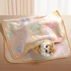 Winter Velvet Pet Sleeping Warm Blanket with Paw/Dot/Bone Pattern, Dog Cat Washing Towel, Fleece Soft Pet Blanket Pet Bed Mat 4