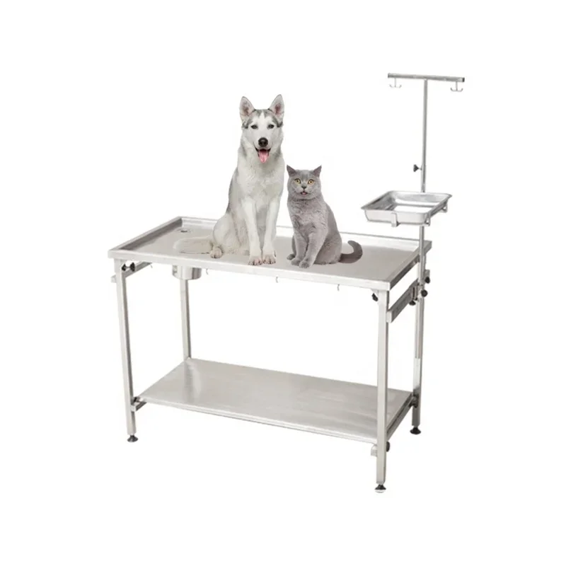

Stainless Steel Pet Medical Vet Operating Table Veterinary Equipment Dog Surgical Examination Table