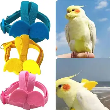Parrot Bird Harness Leash Set Anti-bite Training Harness Parrots Outdoor Flying Rope Cockatiel Small Birds Supplies 1
