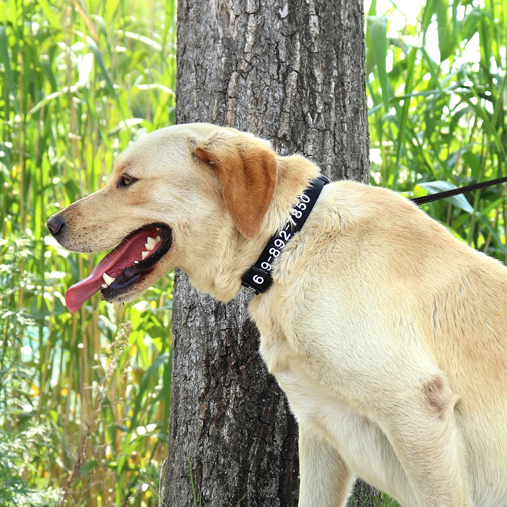 Nach Großen Hund Kragen Personalisierte Bestickte Haustier Welpen Kragen Stickerei Hund Lieferant Einstellbare Für Kleine Medium Large Hund – Detail 13