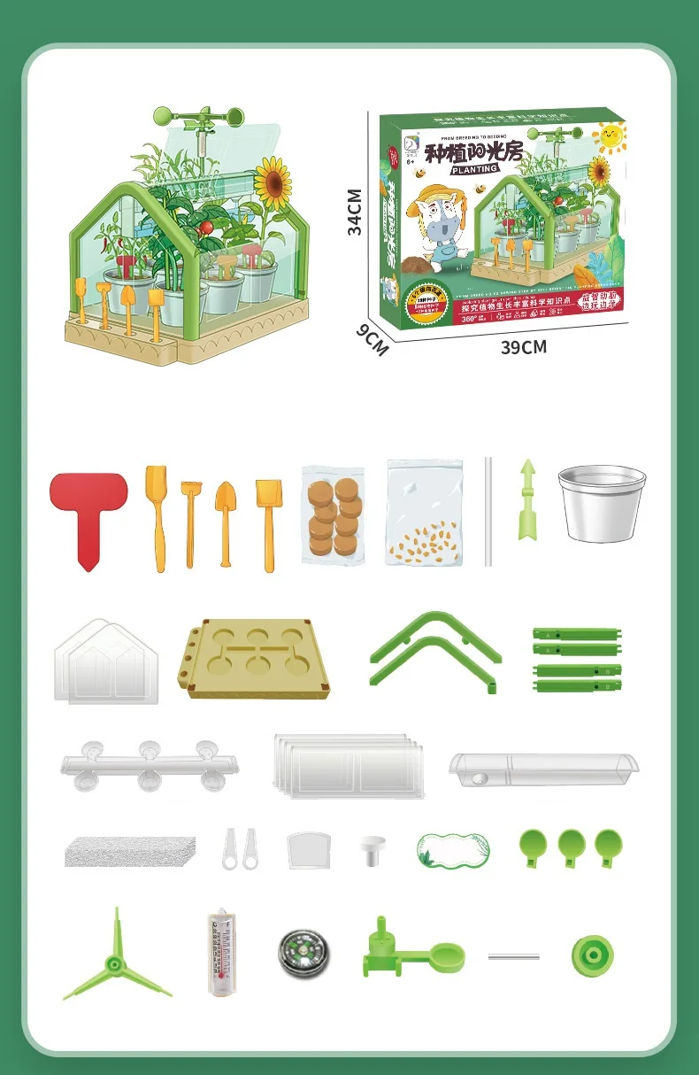 Activity Plant Children'S Planting Homework Experience The Fun