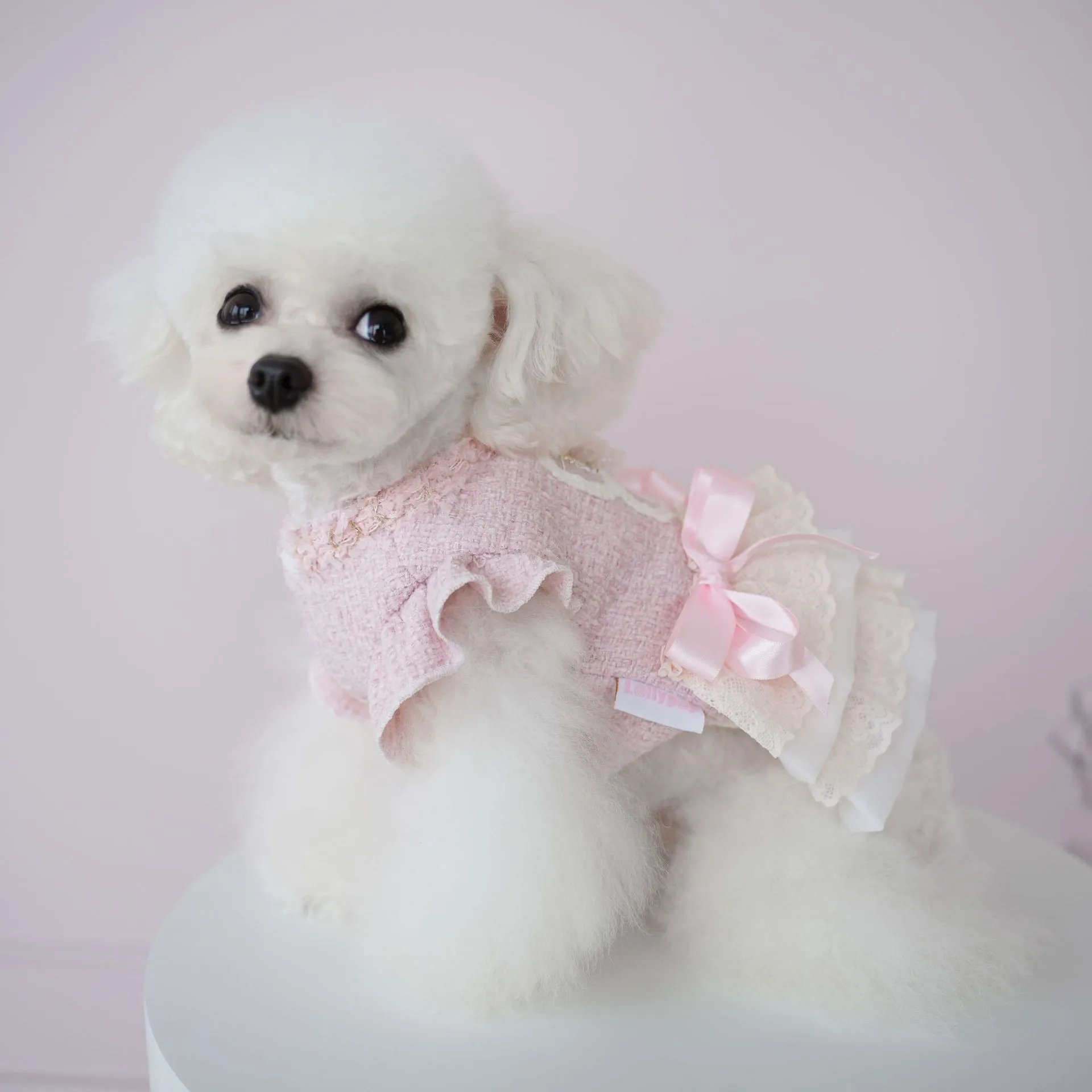 Pet dog clothing cat autumn and winter warm clothing socialite haute couture fragrant style skirt cotton coat that can be pulled