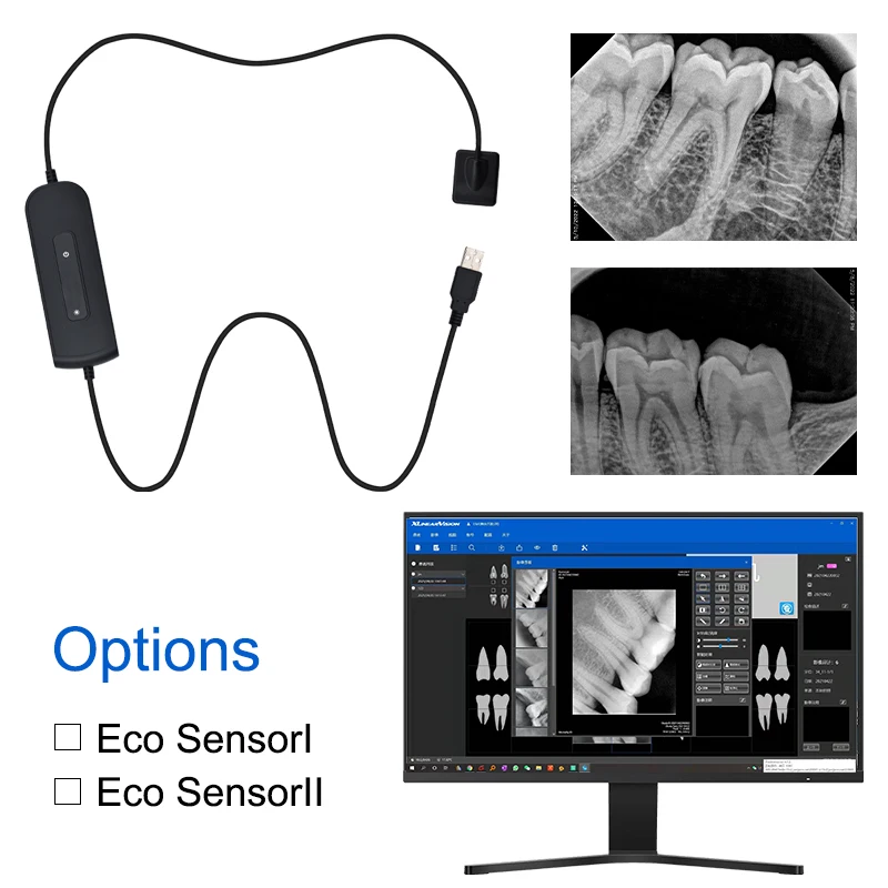 2024 HOT RVG Dental Sensor With Holder Faster/Recycle/Durable USB Intra ...