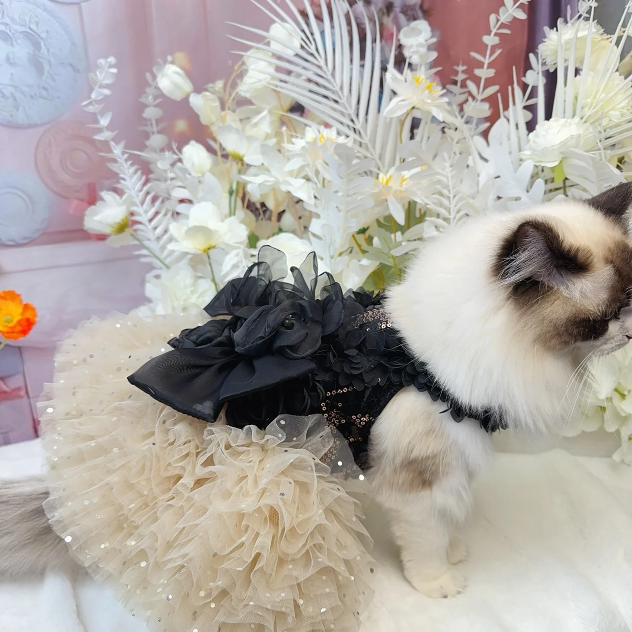 Fashion Sexy Black Roseflower Puppy Dog Clothing Sequin Lace Sling