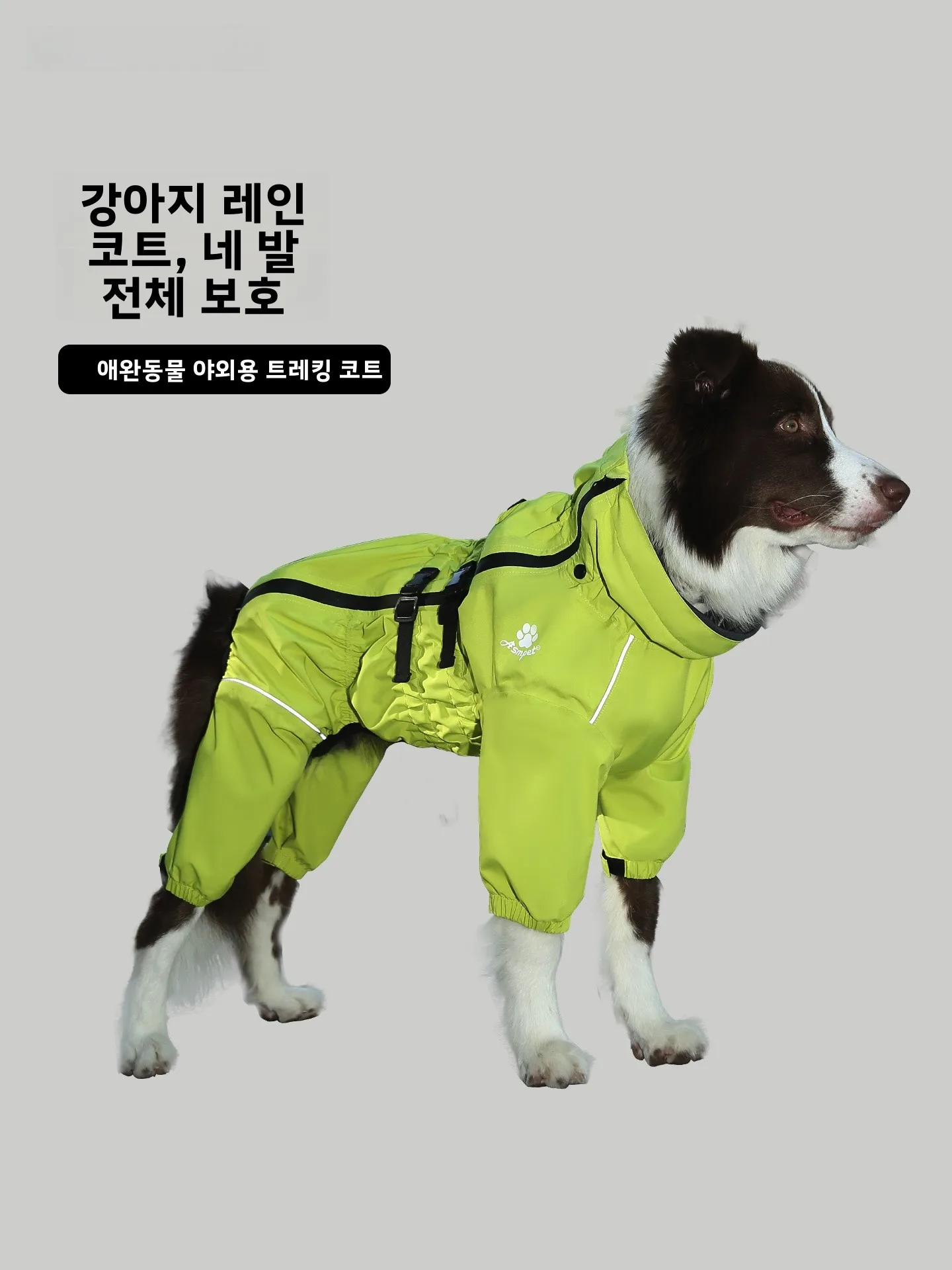 Mrshoes 애완견 비옷 네 다리 겨울옷 소형 중형 대형견 보더콜리 방수 야외..
