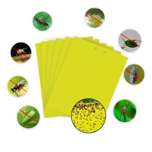 30-100Db Rovar Ragacsos Tábla Csapda Sárga Kétoldalas Ragasztó Matrica Légy Fogó Hibák Flpwer Cserepes Kerti Kártevőirtó Készletek - Image 5