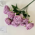 Light Purple
