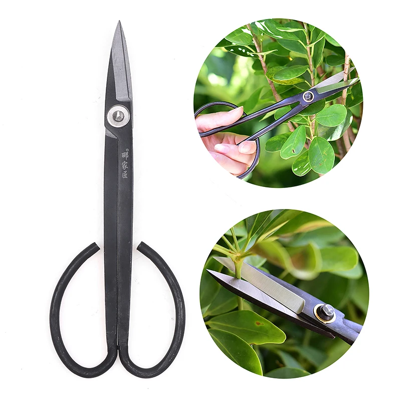 

Bonsai Tool Long Handle Black Scissors Branch Pruning Shears for Arranging Flowers and Trimming Plants Garden Tools