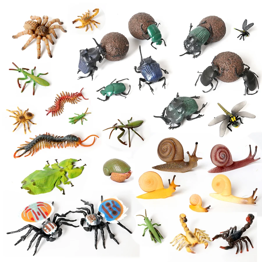 Realistic Insect Animals Dung Beetle,Maratus Volans,Scorpion,Mantis Snail Model Figures Miniature Education Collection Toys