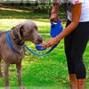 3 In 1 Retractable Dog Leash With Water Bottle Bowl Portable Automatic Lead For Puppy Medium Pet Outdoor Walking Supplies