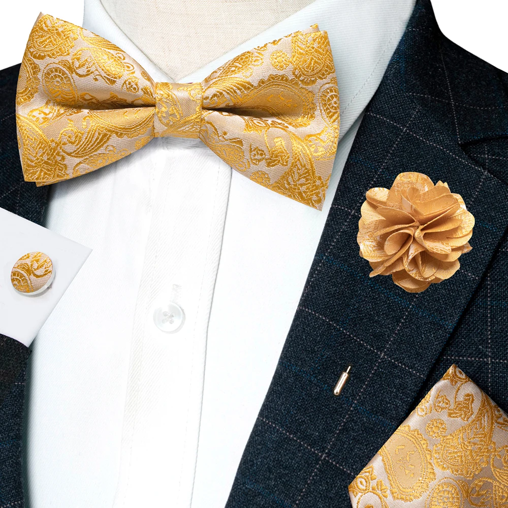 Champagne Silk Jacquard Paisley Bow Tie Set - Pre-tied Bowtie Brooch Hanky  Cufflinks for Weddings  Business