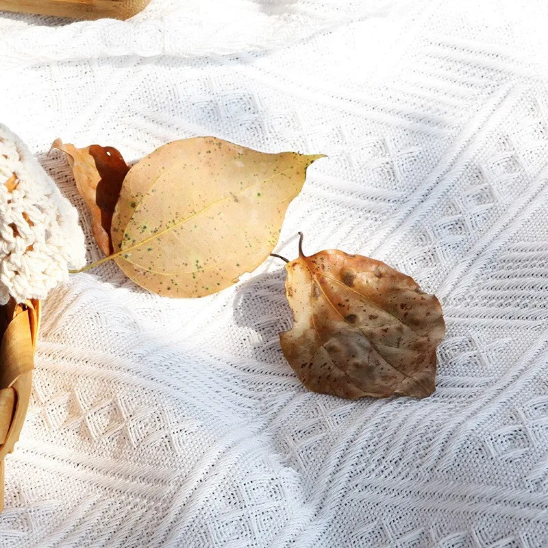 2022 �߰��� ���� ���� ��ũ�� ������ ���, �߿� ��ũ�� ��Ʈ �ε巯�� ���� ��� ���� ���� ��� ���� ���� ���� Ŀ�� ����