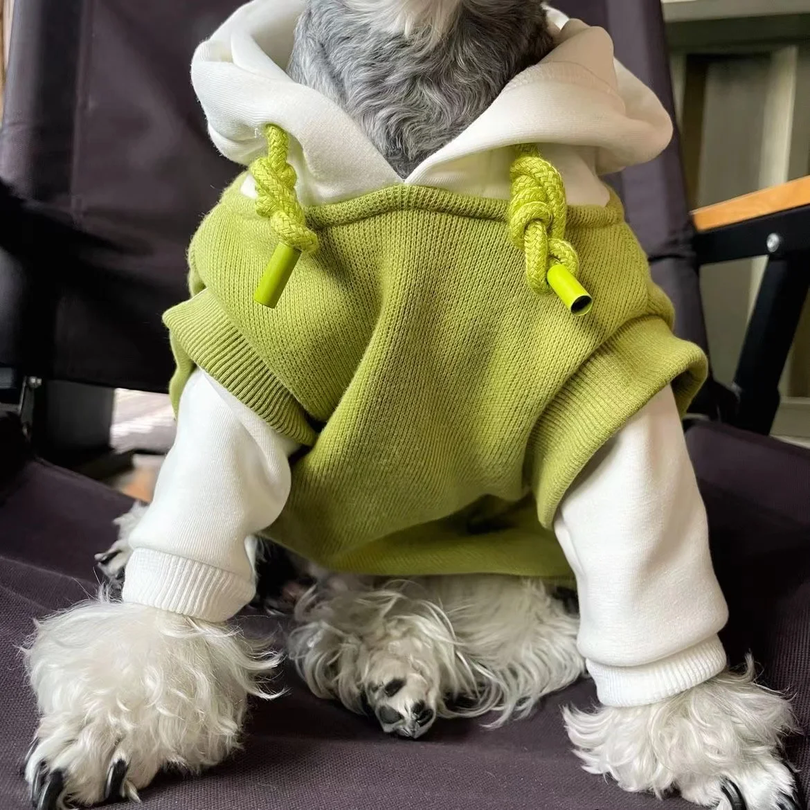 

Fall Winter Dog Clothes Dog Hoodie Sweatshirt Warm French Bulldog Puppy Coat For Small Medium Dog Pet Clothing Chihuahua Pug