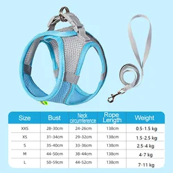 Compact & Comfy Harness for Dogs - Ideal for Small to Medium Breeds (4 - Blue)