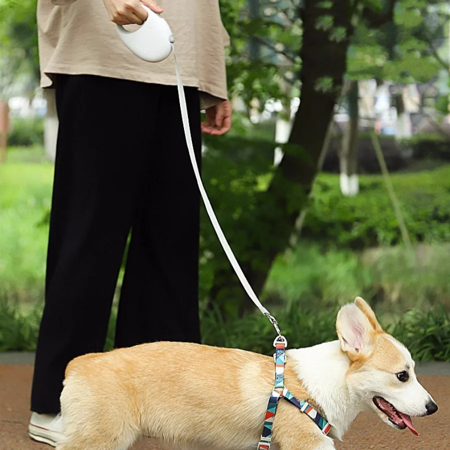 Retractable Dog Cat Rope for Small Medium Pet - PeticaDeals
