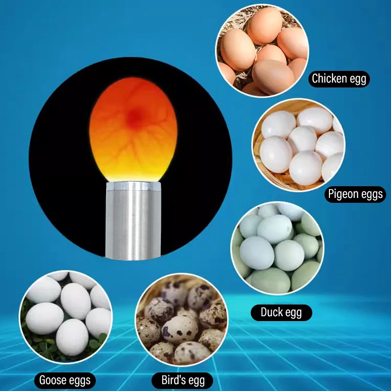 Egg Incubator Egg Candler Incubator Eggtester Egg Candling Lamp Led Super Cold Light Flashlight Equipment for All Chicken Dark Quail Duck Canary Eggs