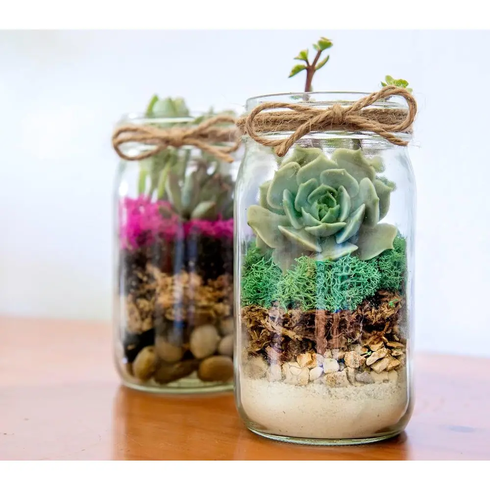 DIY Mason Jar Terrarium 2