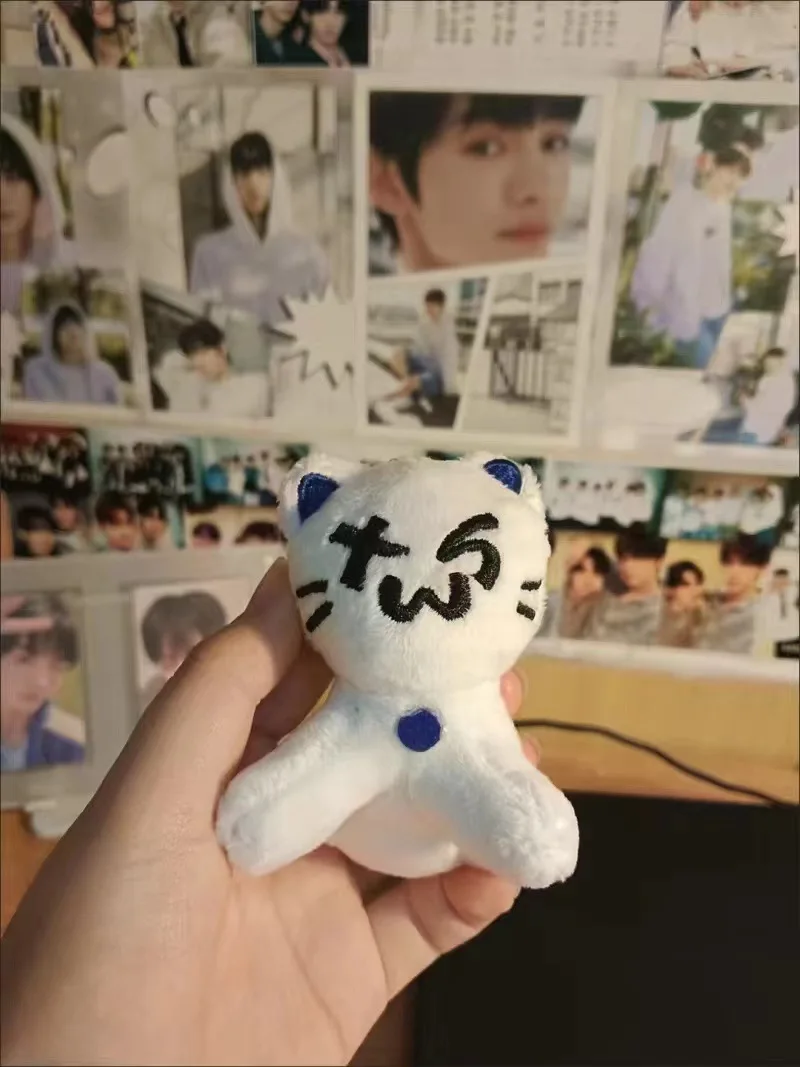 9 cm Kpop Plushie TWS Katze Niedlicher Plüsch-Schlüsselanhänger Stofftier Puppe Anhänger Schlüsselanhänger Charm Rucksack SHINYU DOHOON Zubehör – Detail 2