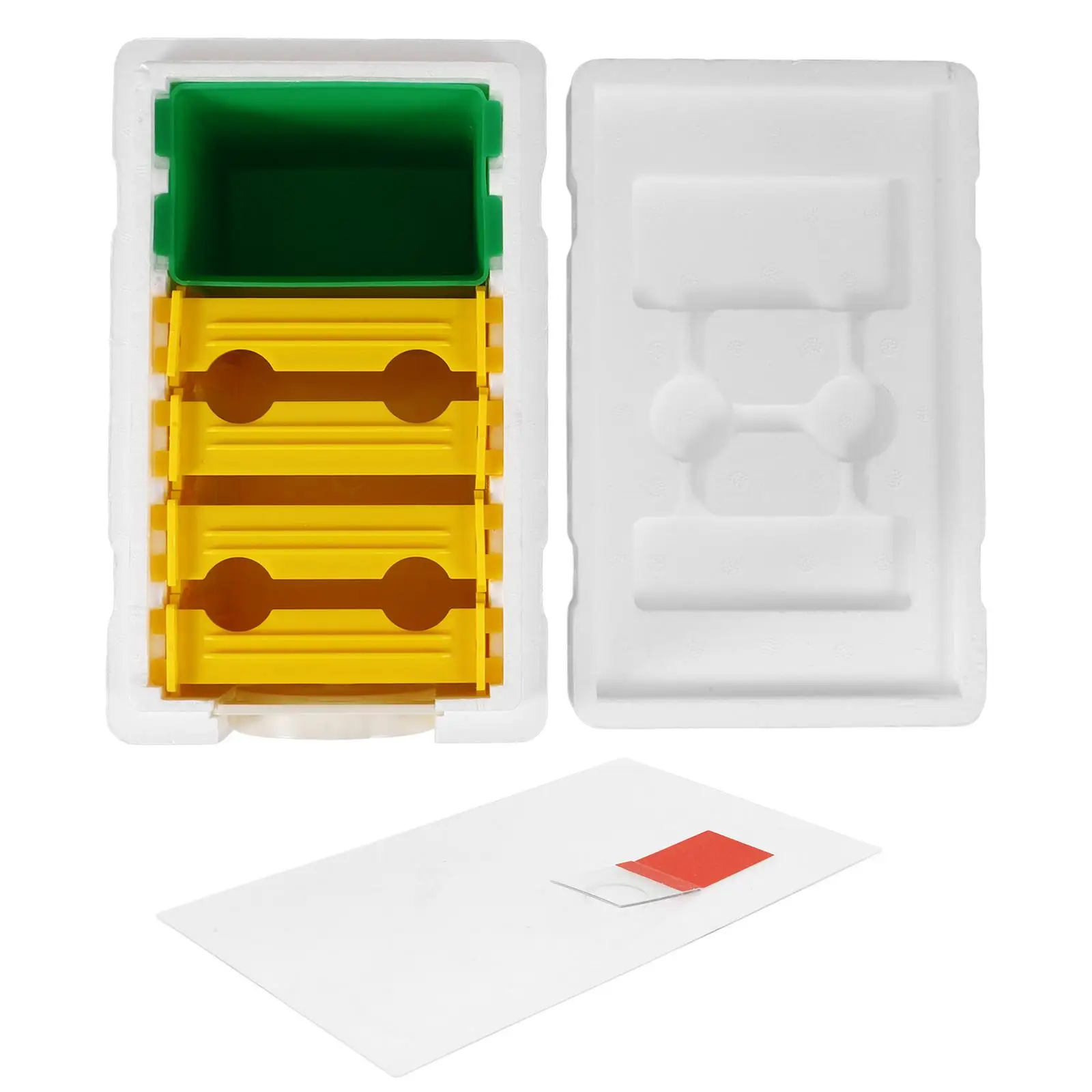 4 Frame Plastic Feeding Hive Bee Breeding Box Door Mini Mating Tool Compact Gardening Equipment Beekeeping