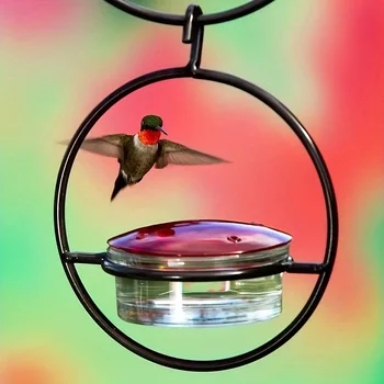 1pc//2pcs/3pcs Beautiful Hanging Hummingbird Feeder, Metal Bottle Humming Bird Feeder With Circular Metal Holder And Perch - Image 6