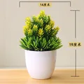 Songzhen yellow