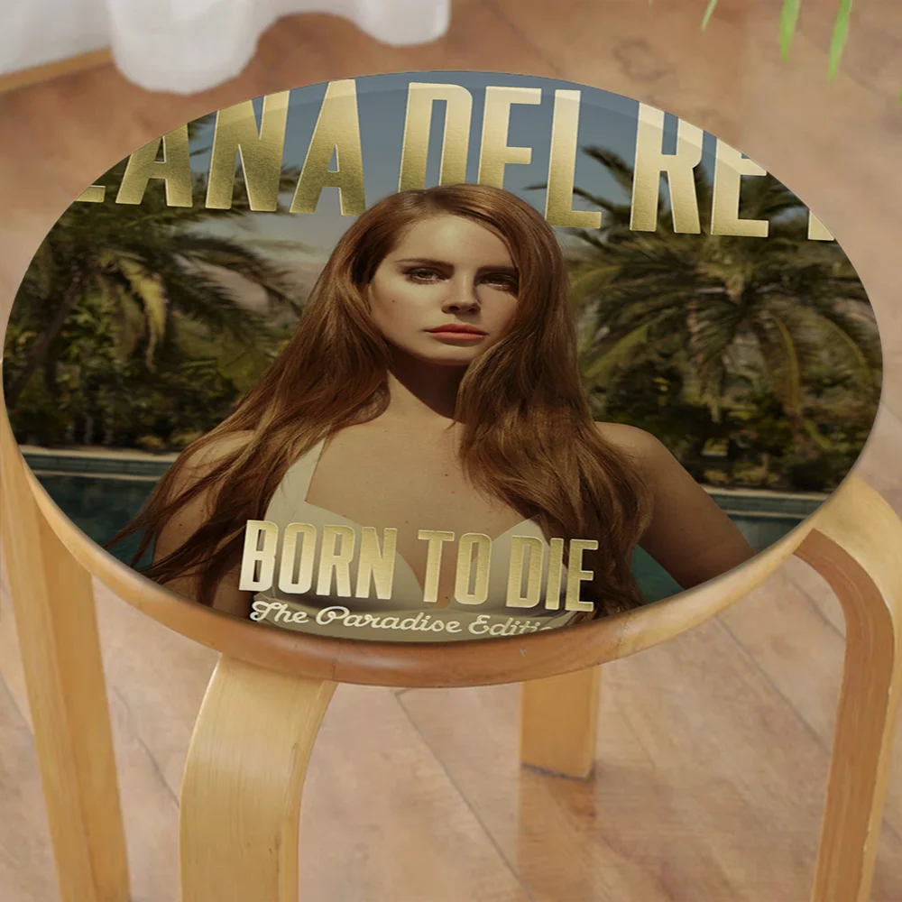 Lana Album Del R-Rey Creative Dining Chair Cushion Circular Decoration Seat For Office Desk Cushions Home Decor 4
