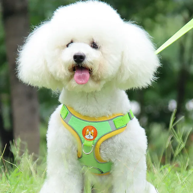 Adjustable Dog Harness & Leash Set – Reflective Breathable Flannel for Small Dogs 2
