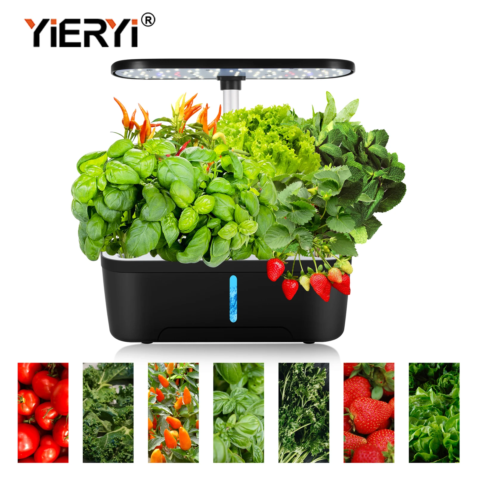 Hydroponic System 12 Pods with Full Spectrum LED Grow Lights Water Circulation System Indoor Herb Garden Automatic Plant Care