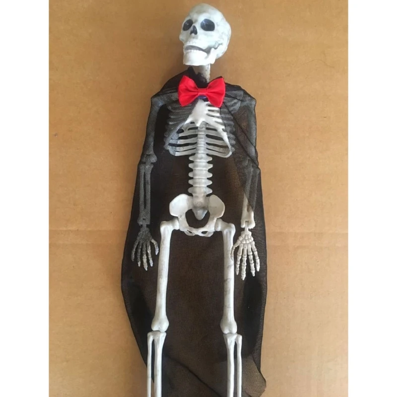 

Hanging Decoration Skeleton Skull Human Body for Purse Handbag for Key Accessory