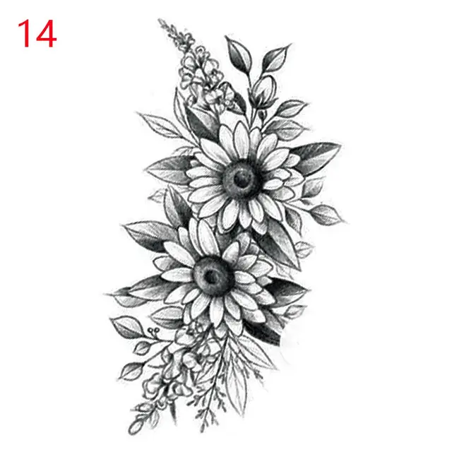 Image 27