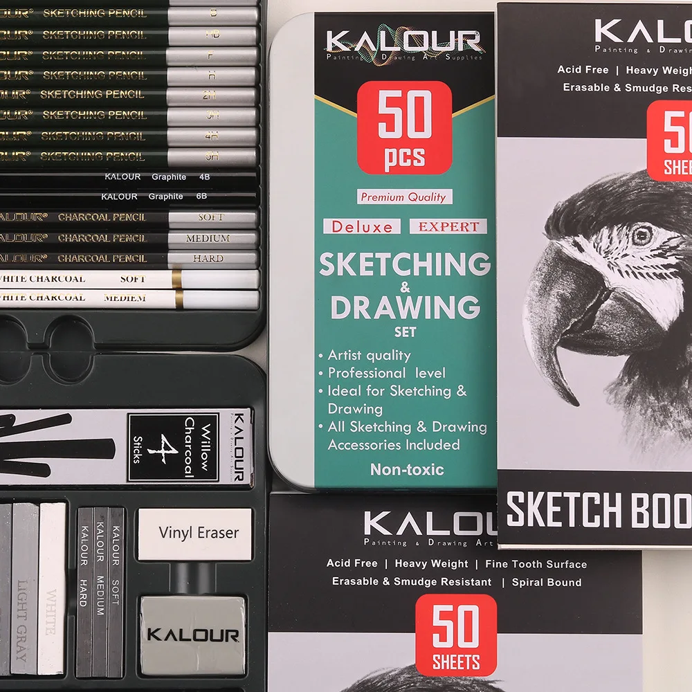 Professional 50Pcs Art Set Sketching Drawing Pencil Charcoal Graphite Stick  Sketchbook Artist Graphing Series Complete Kits - AliExpress