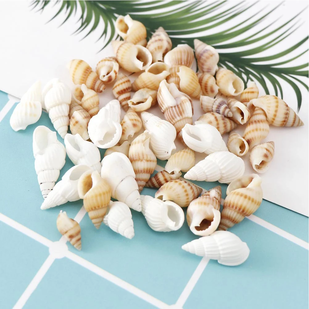 2 Boxes Wedding Beach Decor Crafts Charms Tank Tiny Shells Sea Snails Party DIY Natural Spiral Shell Handicraft Decoration natural shell ornaments